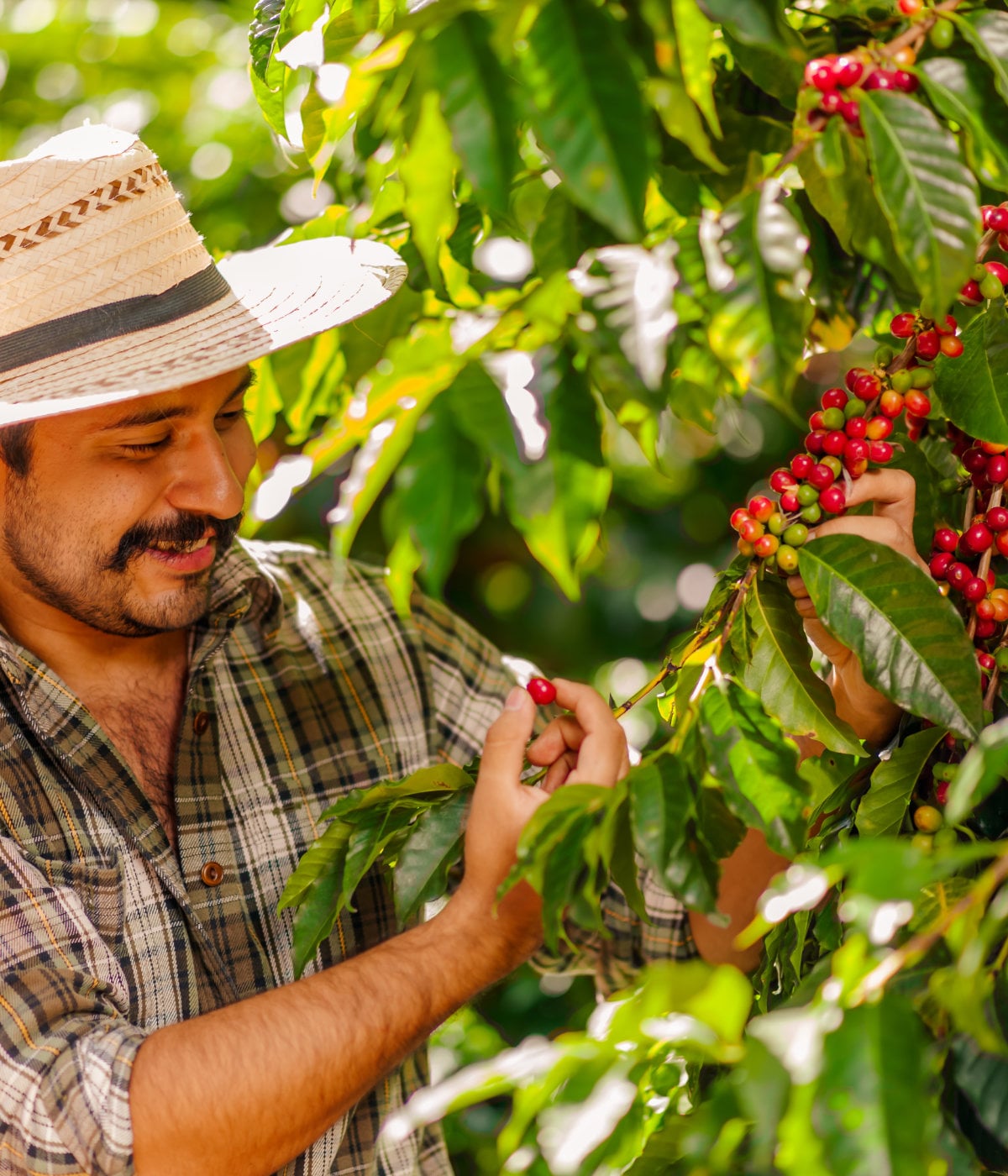 Asesoramiento Legal en Cumplimiento Ambiental